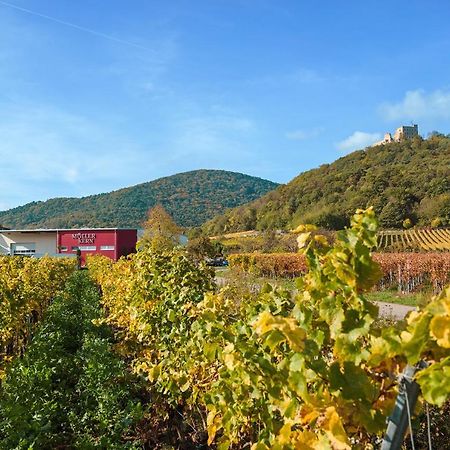 Weingut&Ferienwohnungen Müller-Kern Neustadt an der Weinstraße Exterior foto