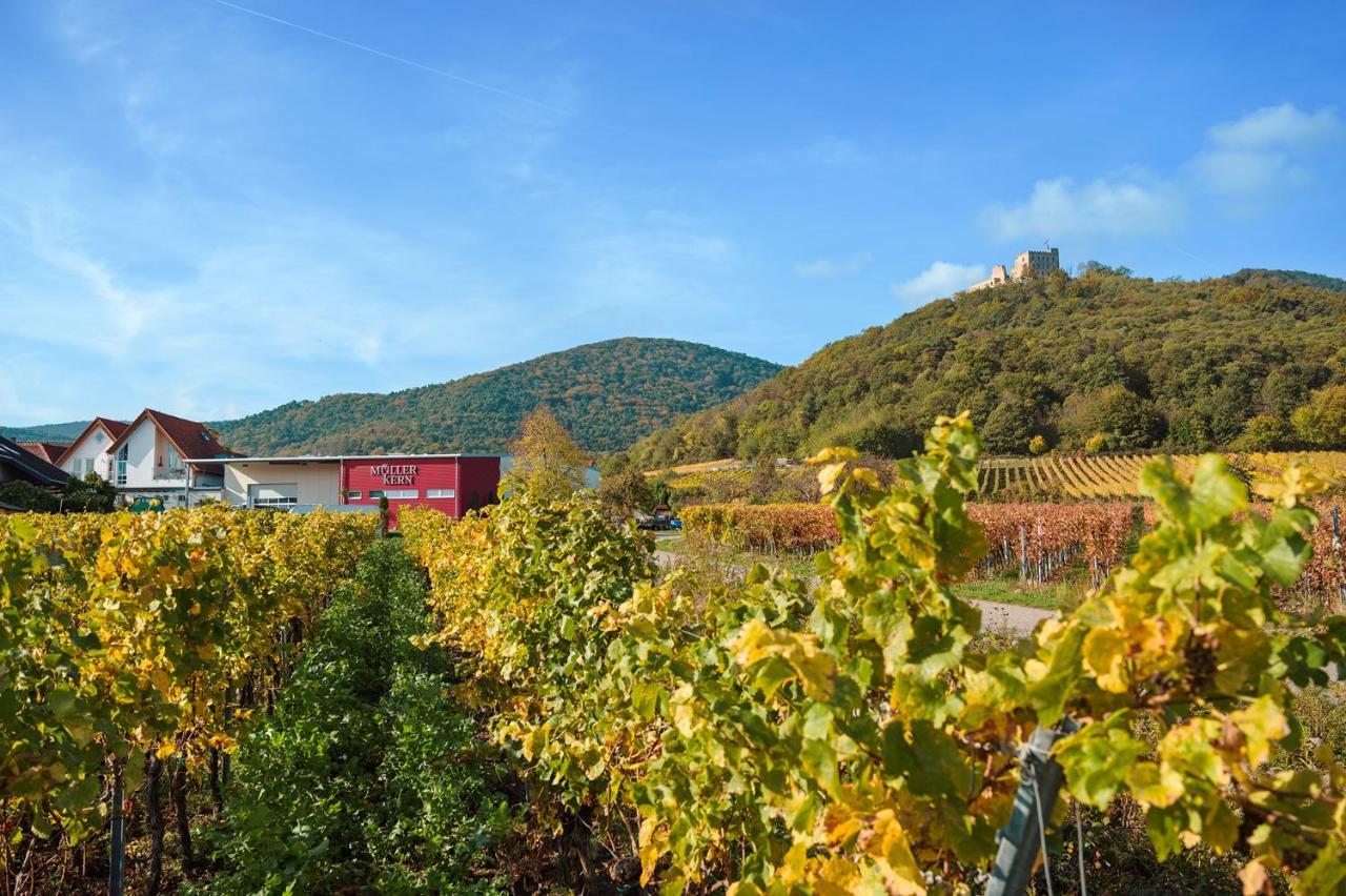 Weingut&Ferienwohnungen Müller-Kern Neustadt an der Weinstraße Exterior foto