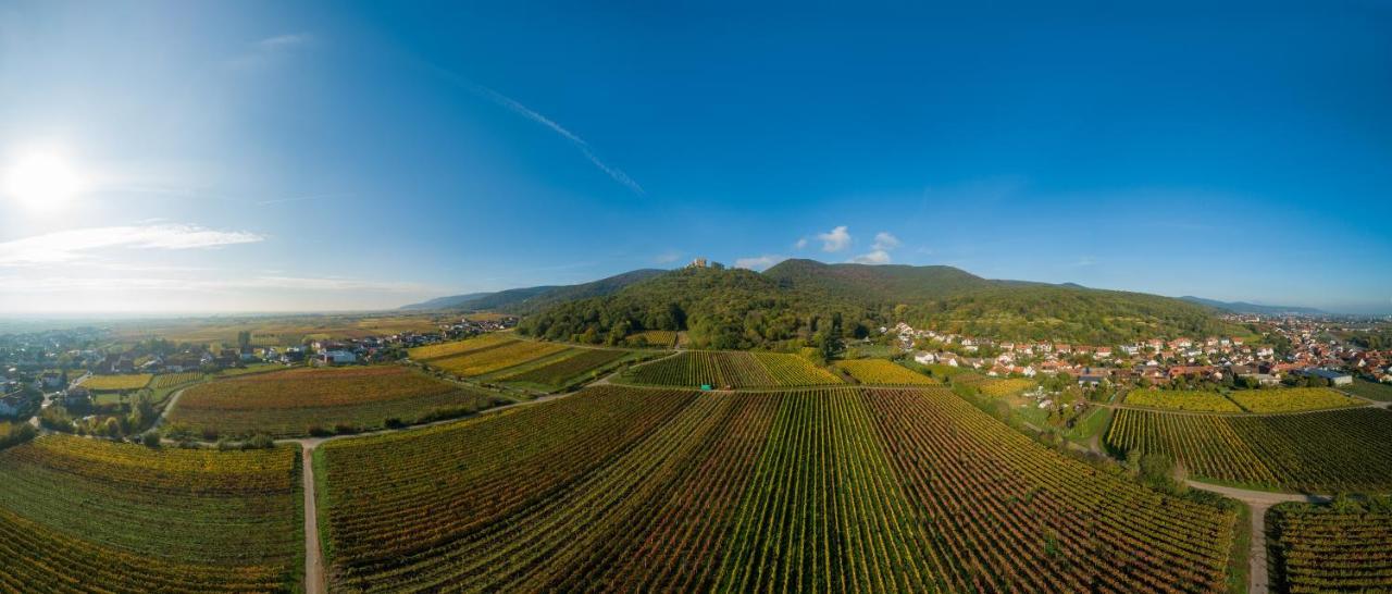 Weingut&Ferienwohnungen Müller-Kern Neustadt an der Weinstraße Exterior foto